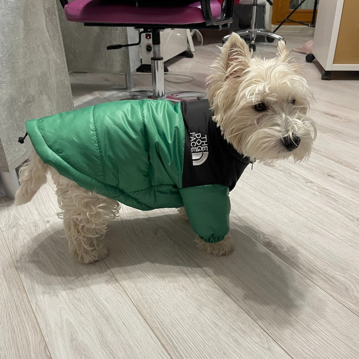 Westie cheap dog jackets