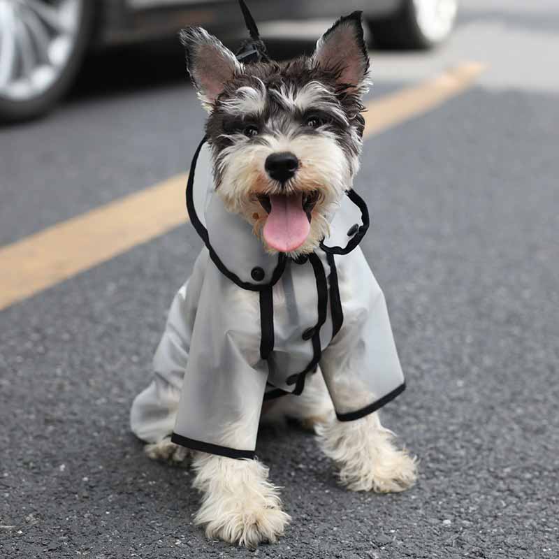 Schnauzer raincoat clearance