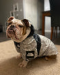 The Dog Fans Bulldog Jacket