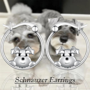 Schnauzer Loop Earnings