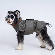 Premium Schnauzer Winter Coat