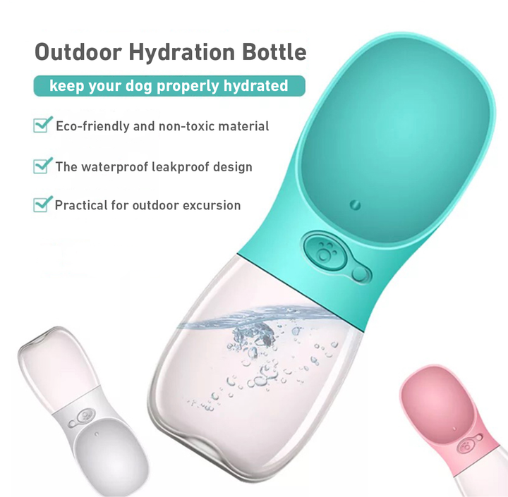 Sippy Water Bottle