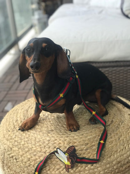 Pucci Dog Harness And Leash Set