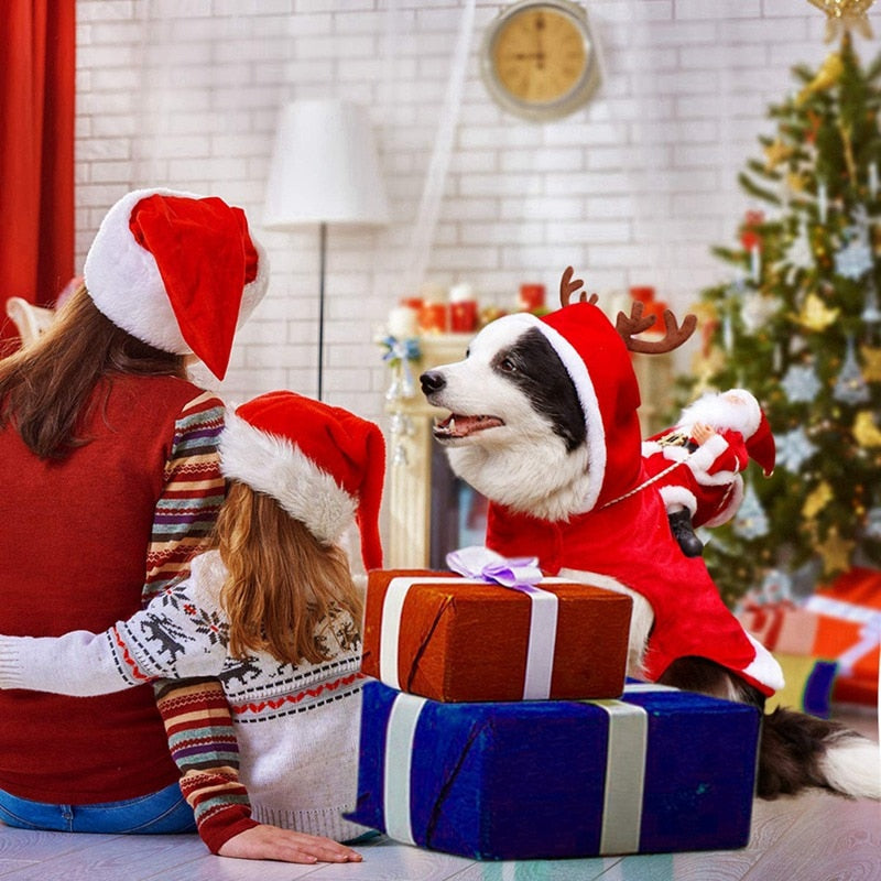 Santa Dog Christmas Costume