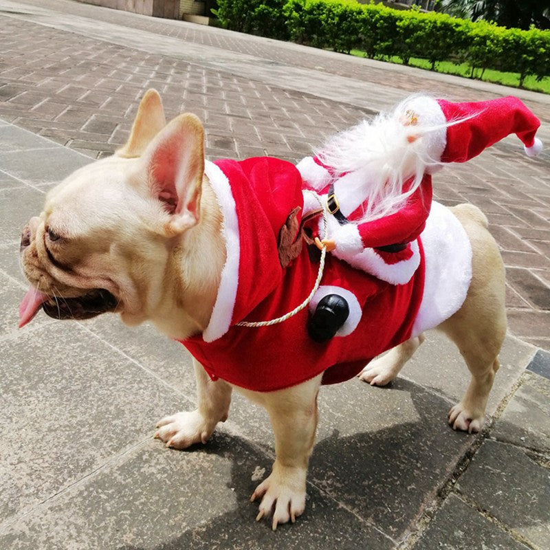 Santa Dog Christmas Costume