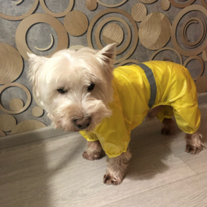 Reflective waterproof dog overall