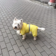 Reflective waterproof dog overall