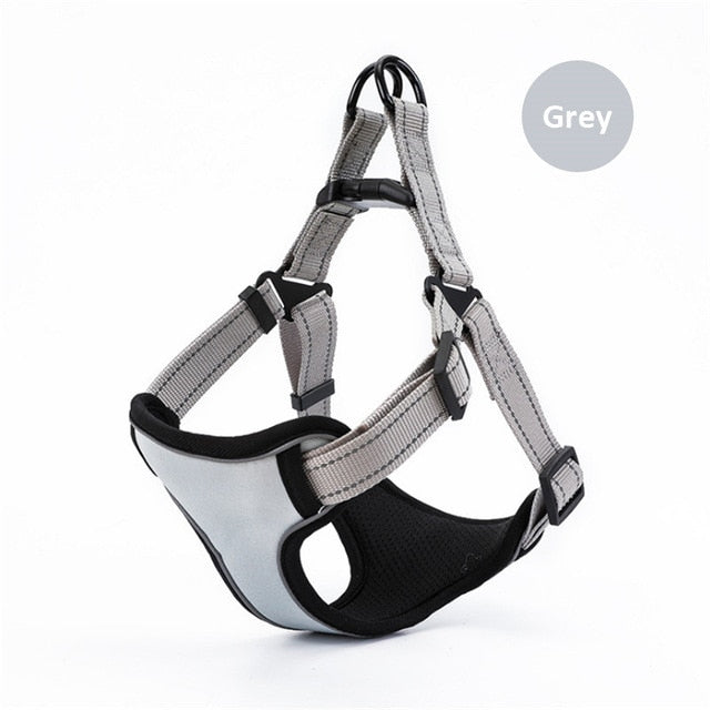 Reflective Dog Harness And Leash Set