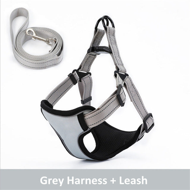 Reflective Dog Harness And Leash Set