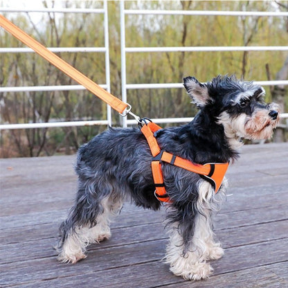 Reflective Dog Harness And Leash Set