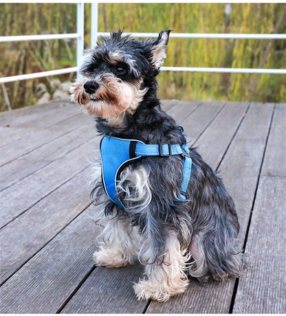 Reflective Dog Harness And Leash Set