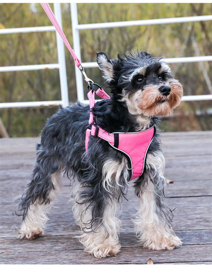 Reflective Dog Harness And Leash Set