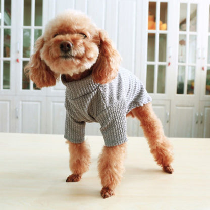 Dog Candy Sweater