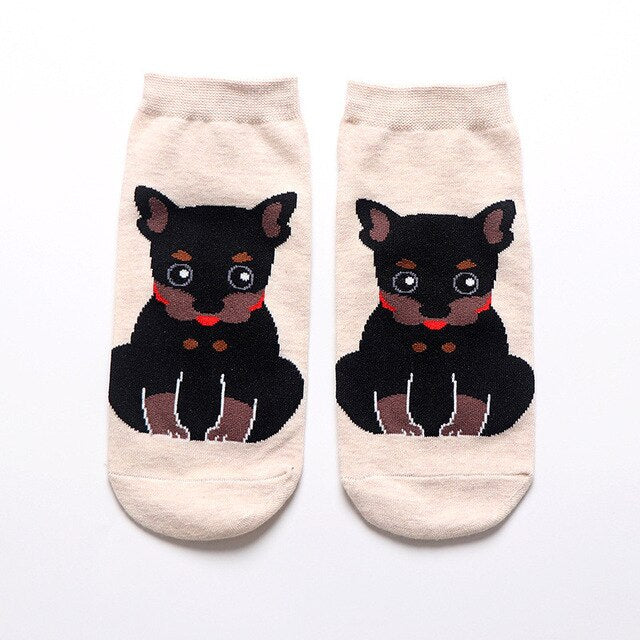 Spike Dog Socks