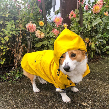 Sporty Dog Raincoat