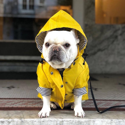 Sporty Dog Raincoat