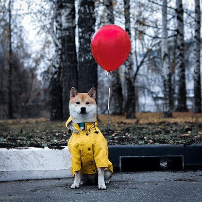 Sporty Dog Raincoat