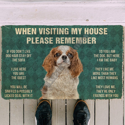 When Visiting My House Please Remember Bulldog Doormat