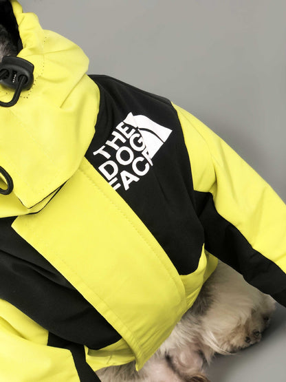 The Dog Face Winter Jacket