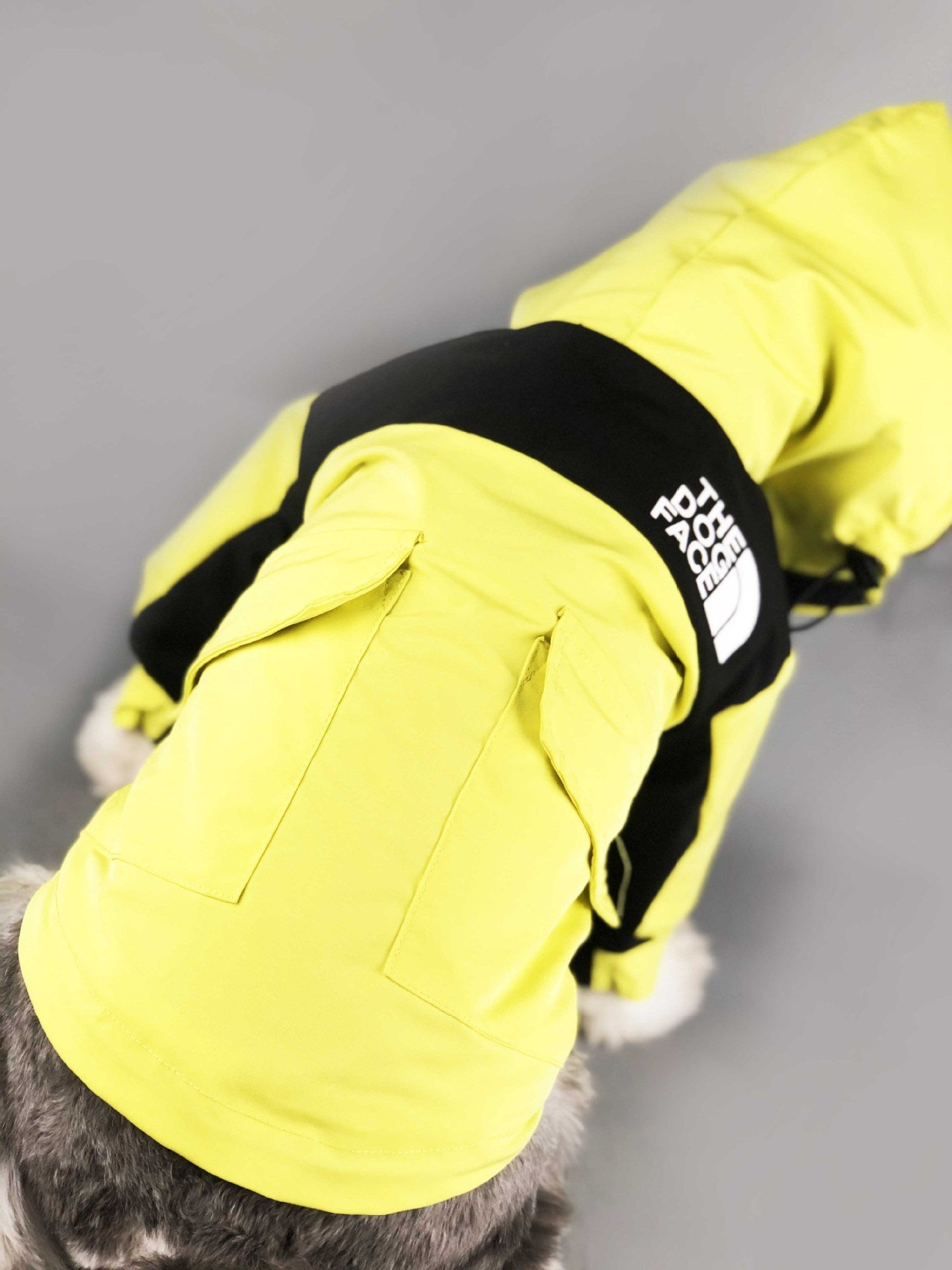 The Dog Face Winter Jacket