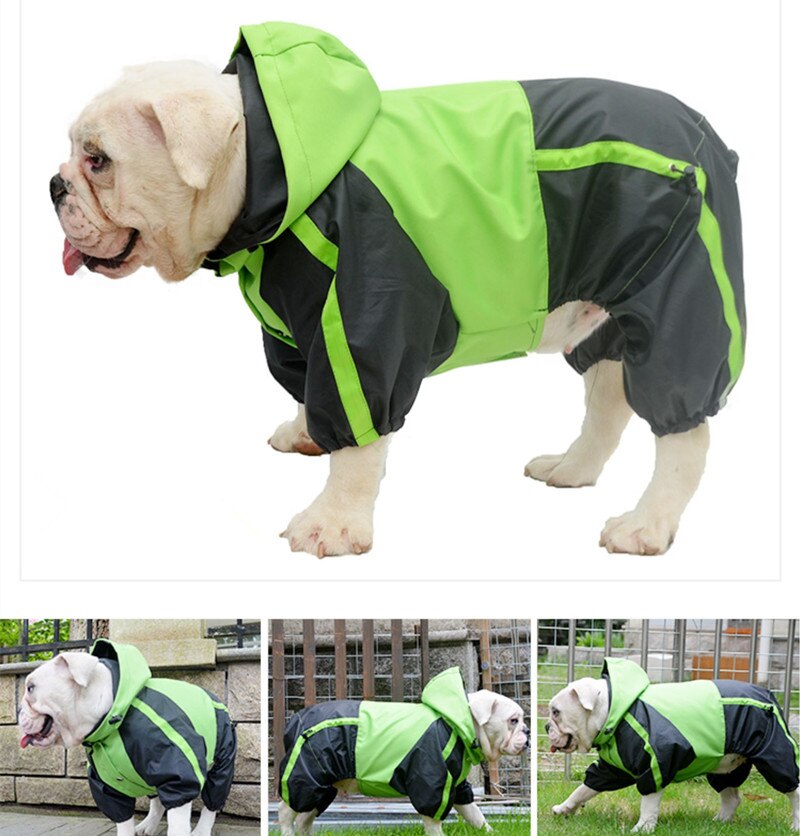 English Bulldog Raincoat