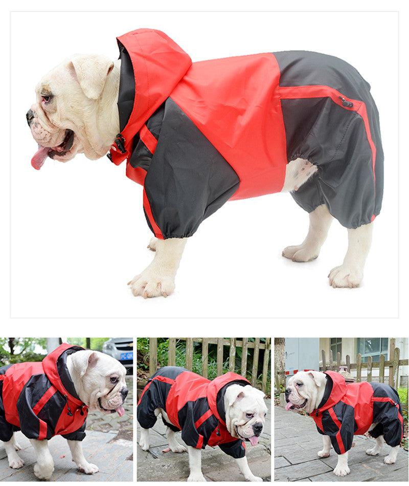 English Bulldog Raincoat