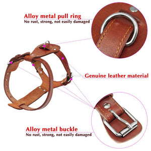 Royal Genuine Leather Dog Harness