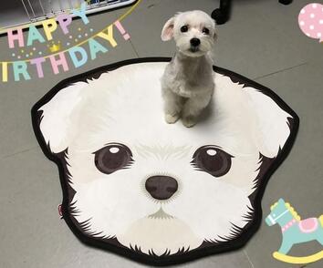 Dog Kingdom Floor Mat