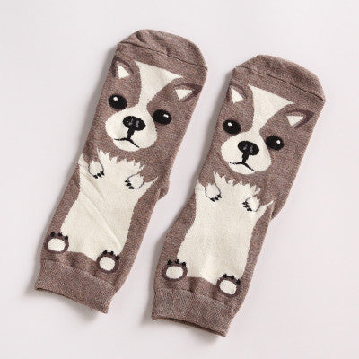 Bobbi Schnauzer Socks